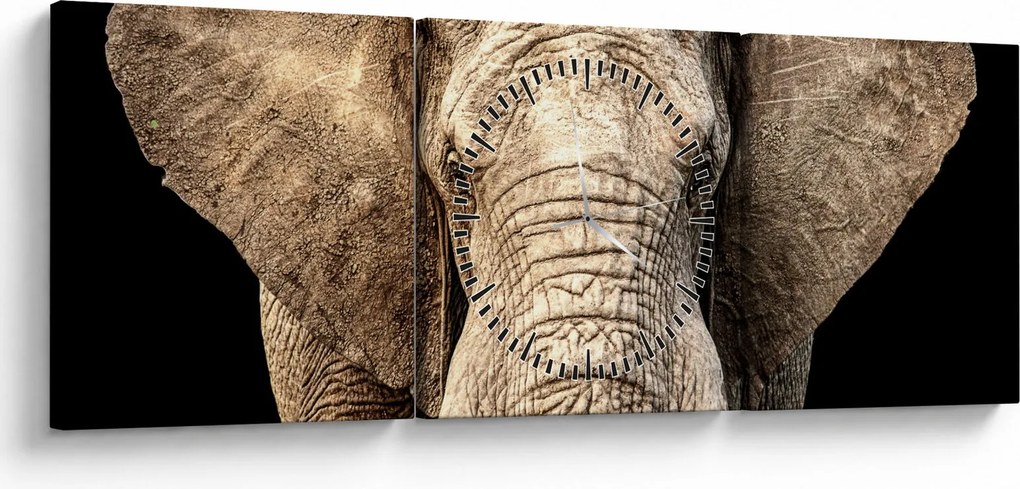 Kép - Afrikai elefánt (órával) (90x30 cm)