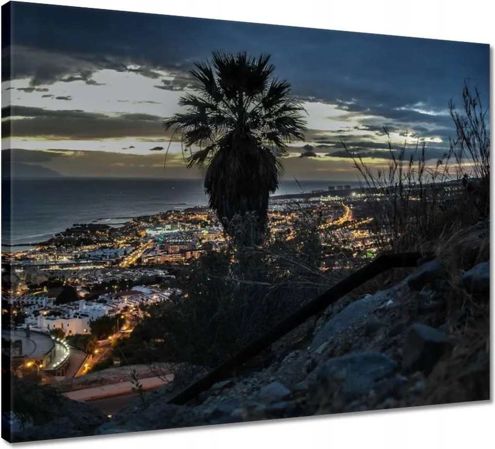 Vászonkép 50x40 Tájkép pálmafákkal