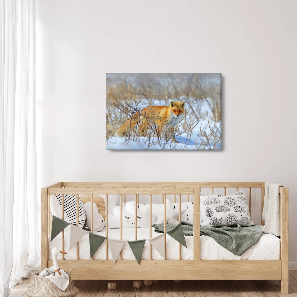 Kép - Róka (90x60 cm)