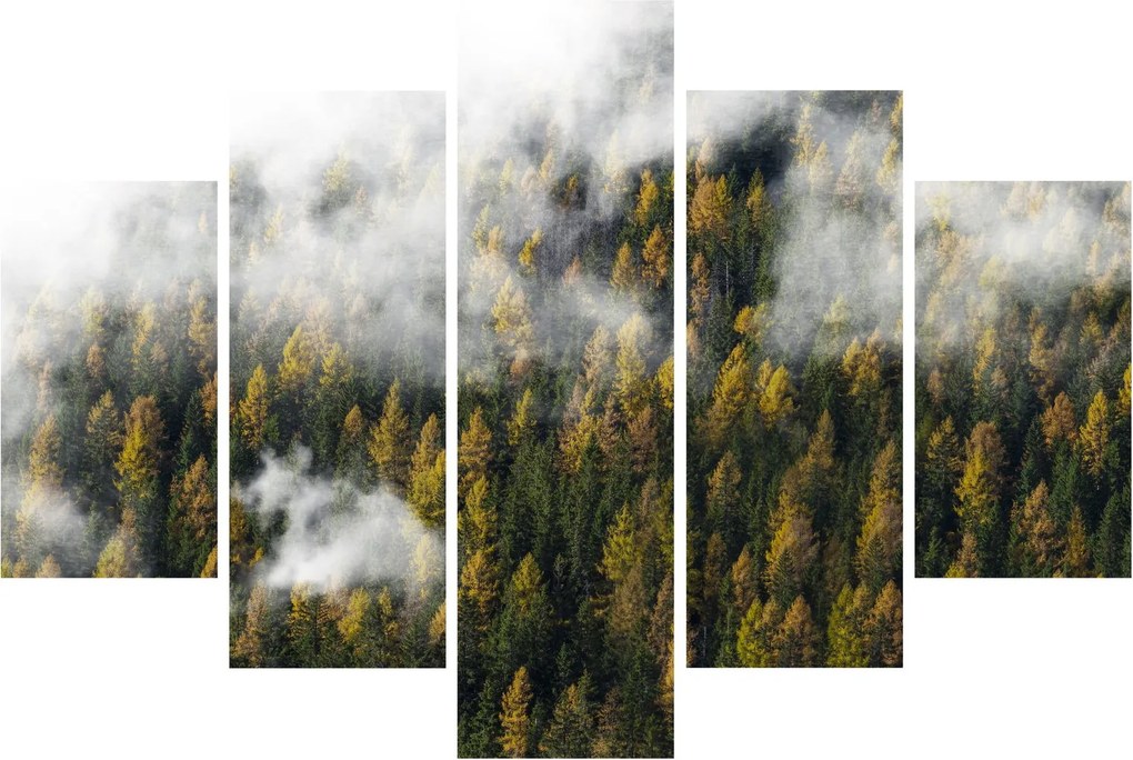 Egy erdő képe a felhők között (150x105 cm)