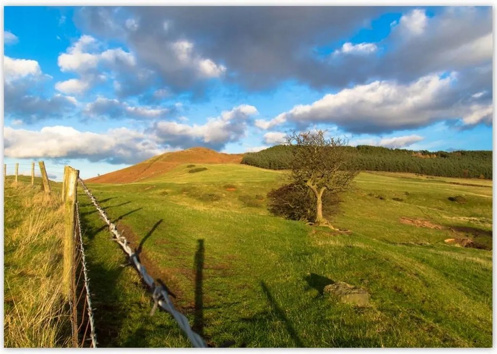 Poszterek 100x70 Tájkép réttel