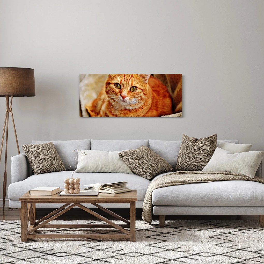 Egy fekvő macska képe (120x50 cm)