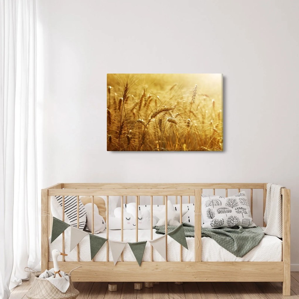 Kép - Gabonafül (90x60 cm)