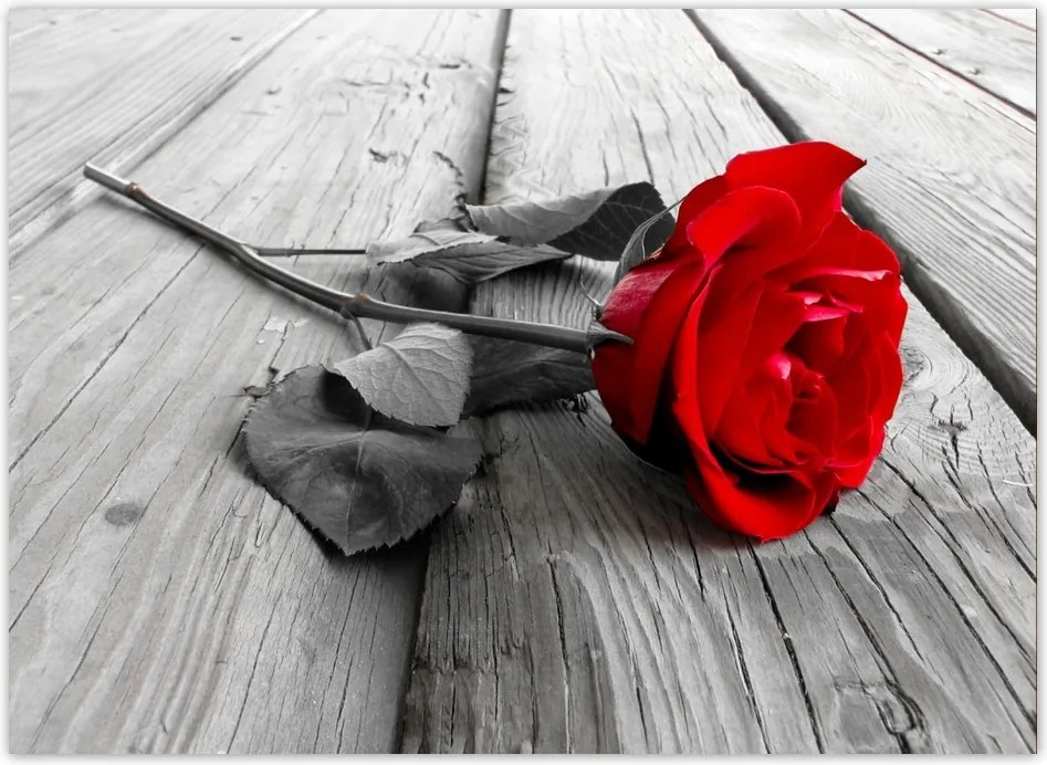 Fotótapéta flizelina 254x184 Rózsa a hídon