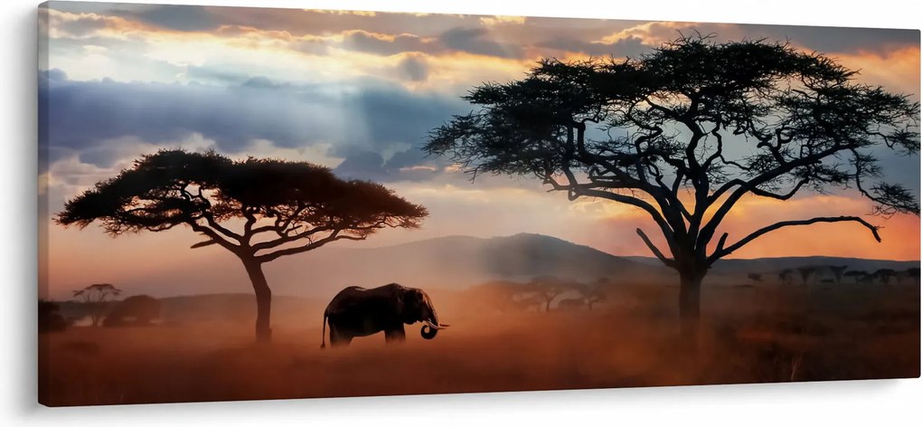 Kép - Serengeti Nemzeti Park, Tanzánia, Afrika (120x50 cm)