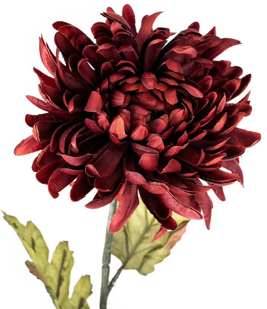 Mű krizantém, magasság 74 cm, bordó