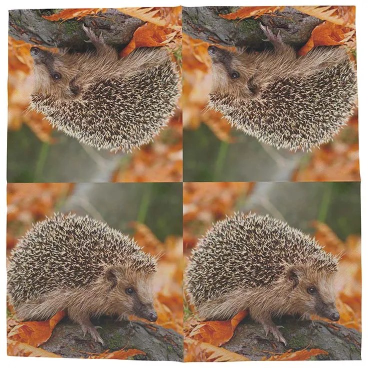 Sündisznós szalvéta