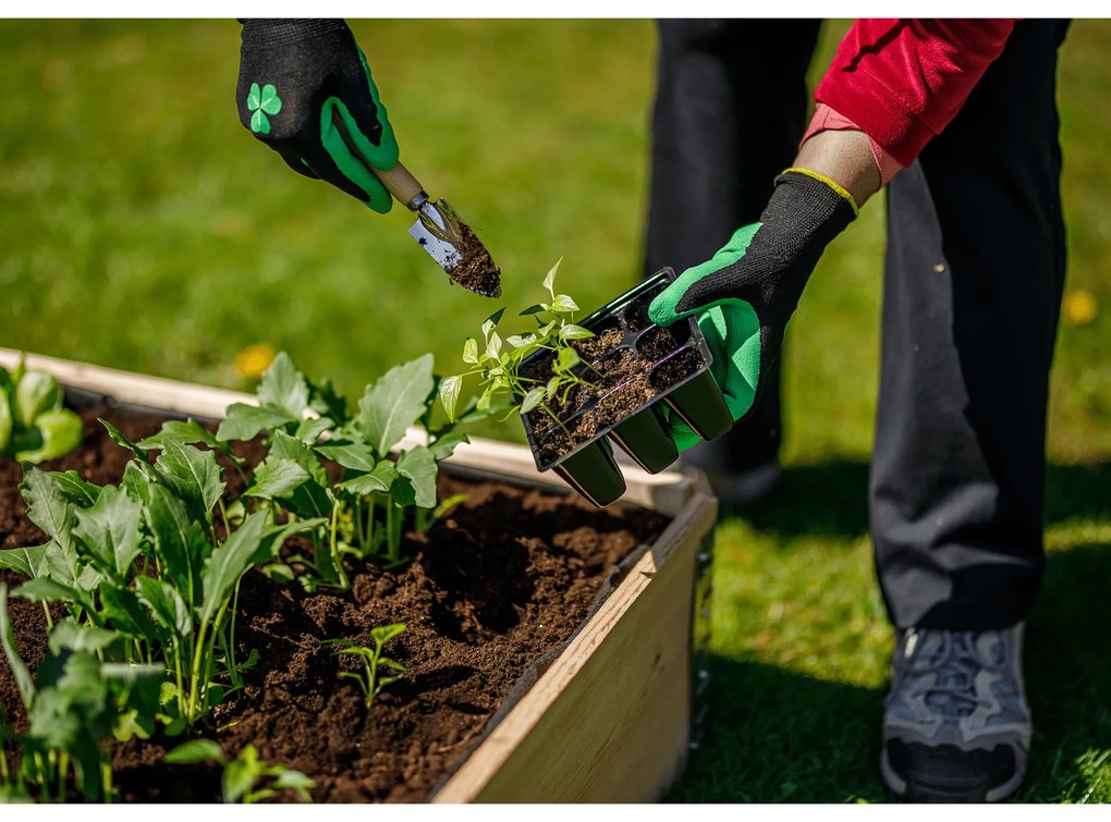 Kerti szerszámok, 3 db-os szett, természetes fa/ezüst, VERDE