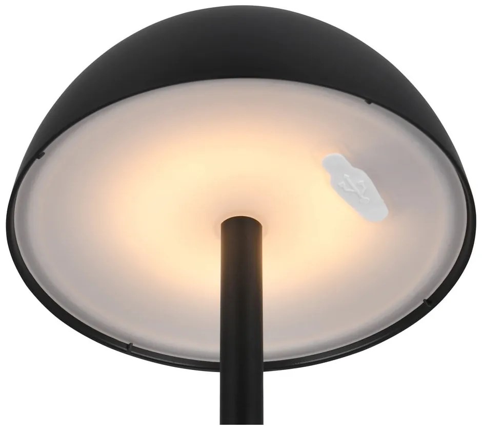 Dimmelhető kültéri lámpa ø 13,5 cm Ricardo – Reality