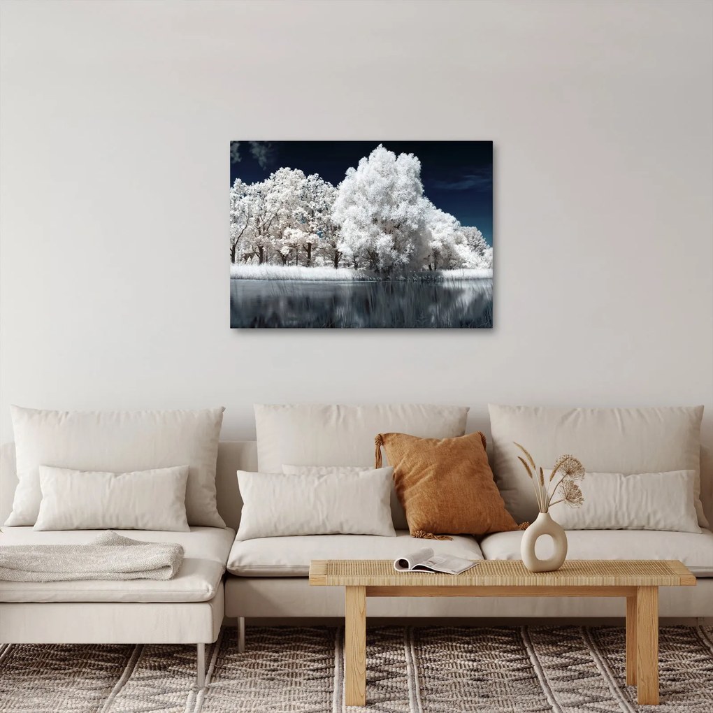 Kép - Hófehér fák (70x50 cm)
