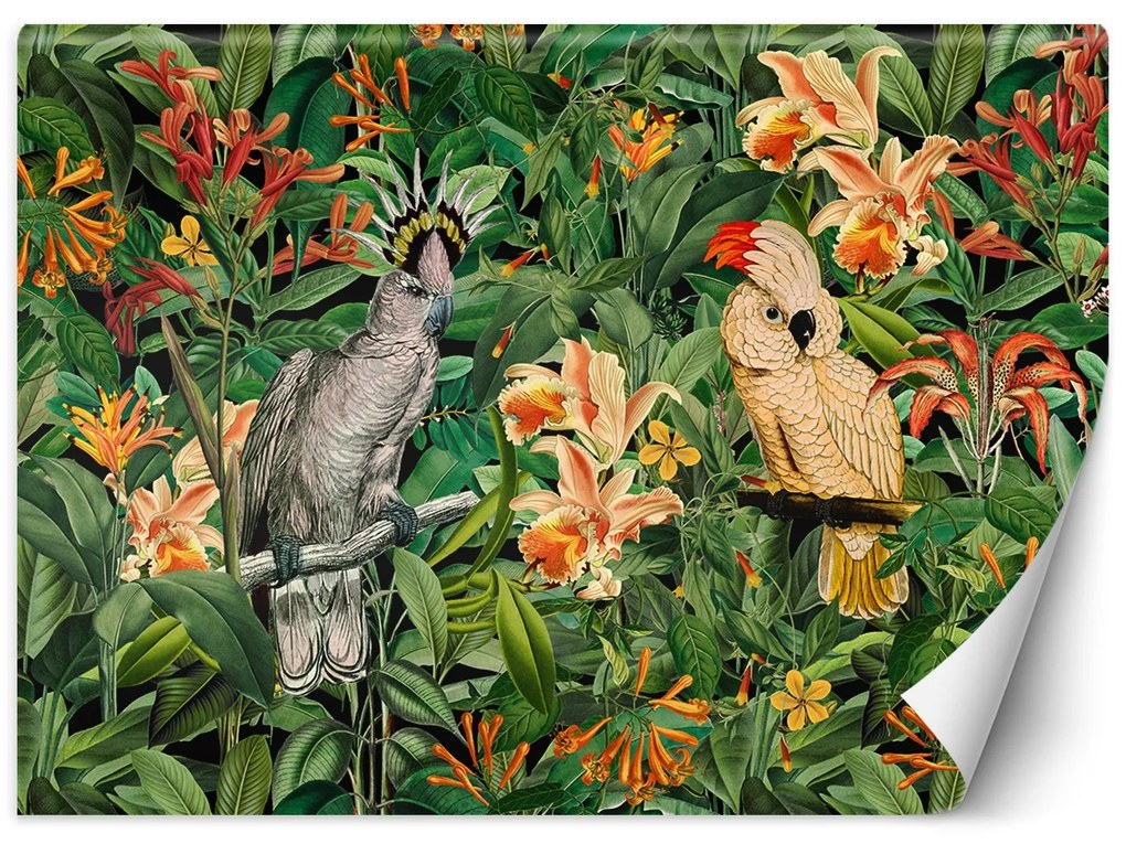Gario Fotótapéta Nagy papagájok a zöld trópusokon - Andrea Haase Anyag: Vlies, Méret: 400 x 280 cm