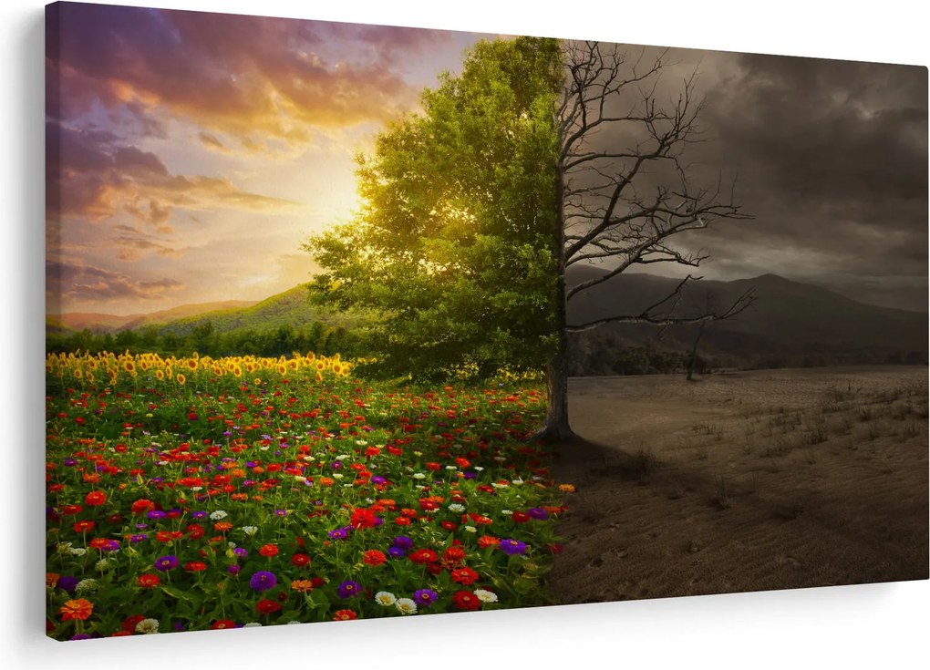 Kép - Életciklus (90x60 cm)