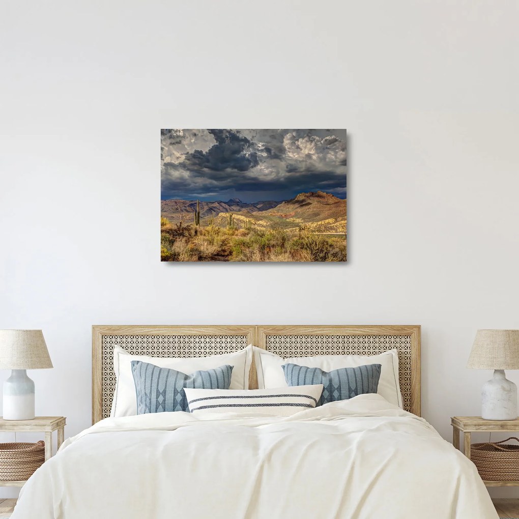 Kép - kaktuszok a természetben (üvegen) (70x50 cm)