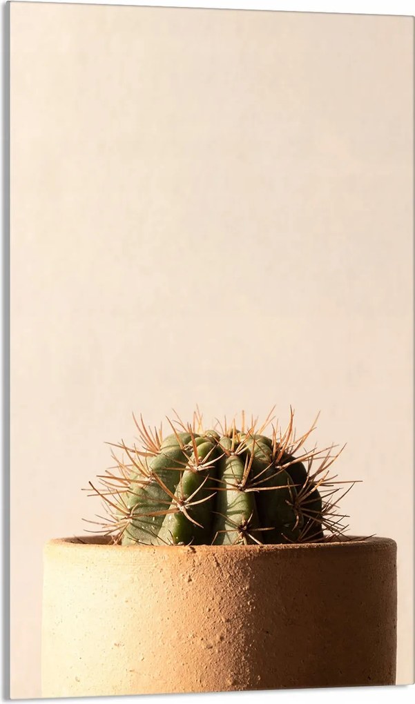 Üveg Vágódeszka 30x52 Kaktusz A Konyhába