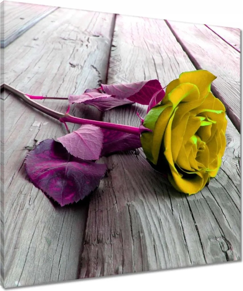 Vászonkép 60x60 Freeky rose