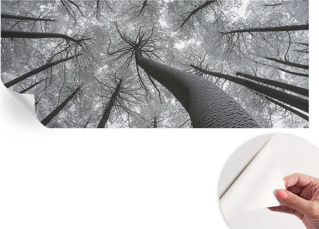 Öntapadós fotótapéta Nappali és Hálószoba Irodába Téli tájkép 250x104