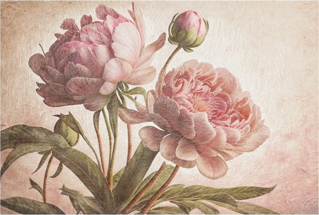 Fali fotótapéta előszoba konyhába Finom bazsarózsa 104x70 ragasztó