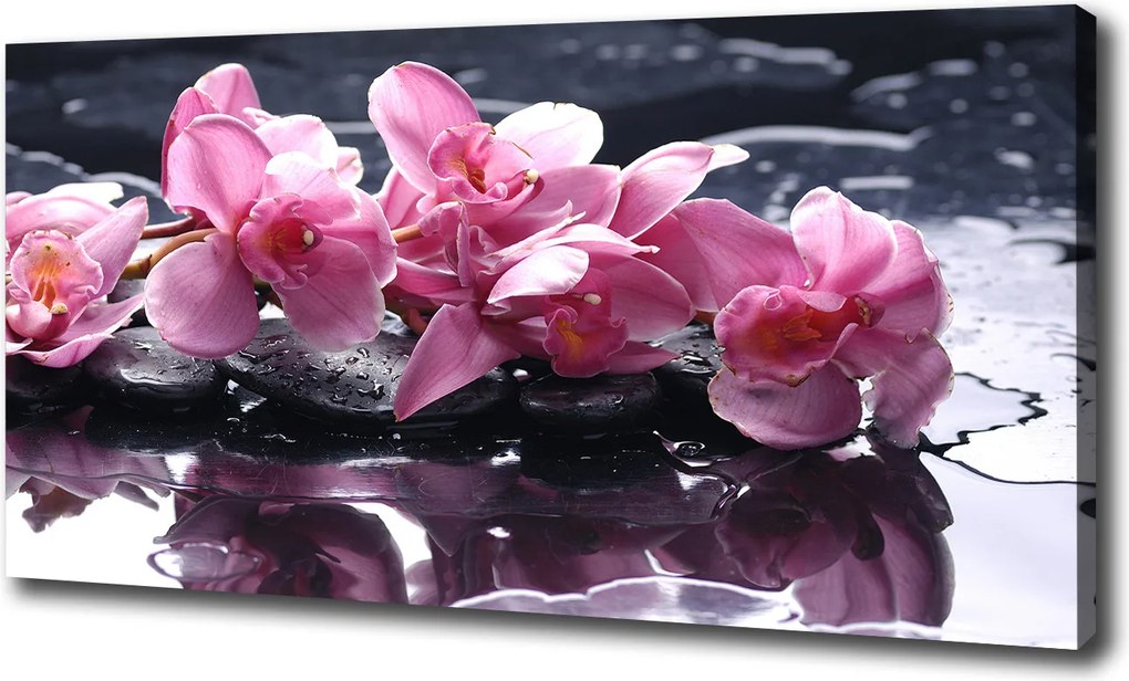 Vászonkép Rózsaszín orchidea 100x70 cm