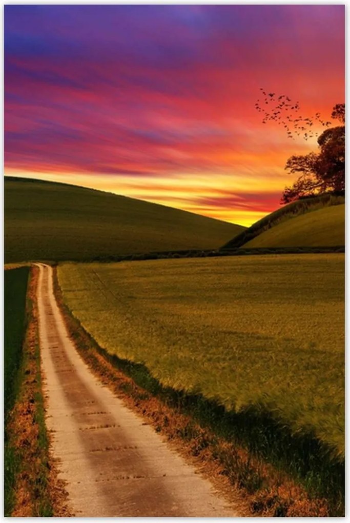 Poszterek 80x120 Naplemente Hegyek Fa