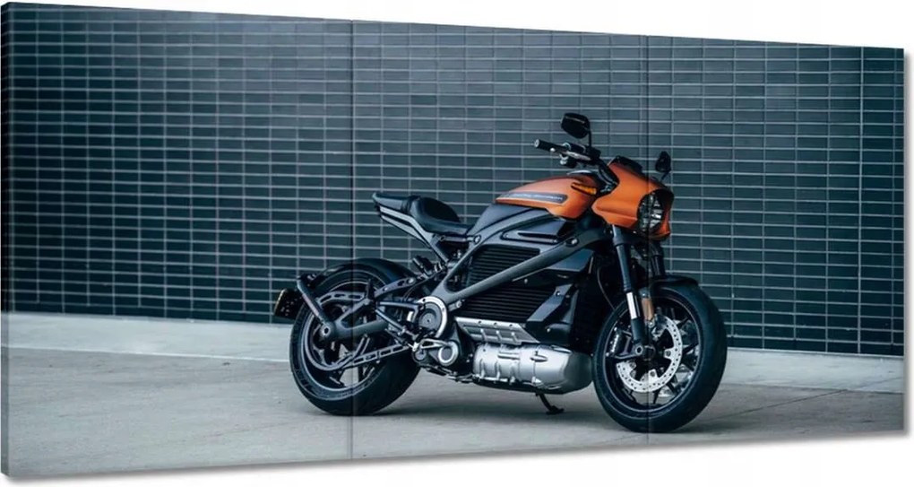 Vászonkép 60x30 Harley Davidson Motorkerékpár