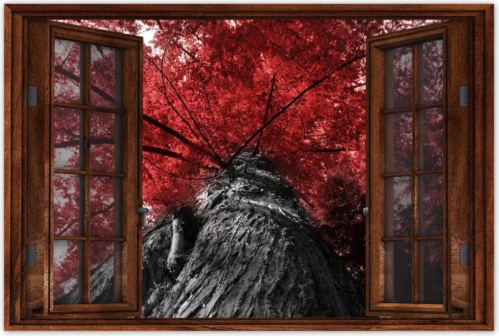 Poszterek 60x40 mamutfenyő Magas fa