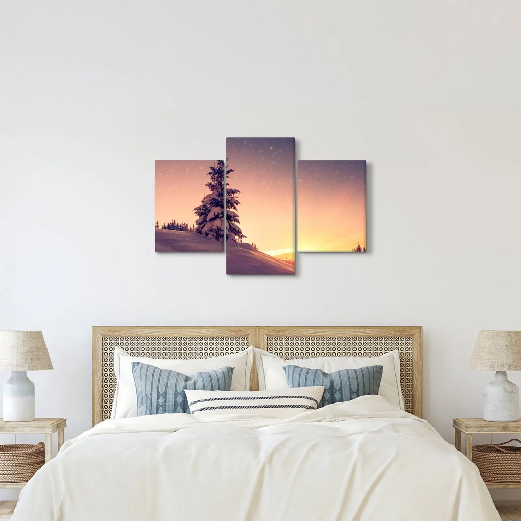 Havas fa egy réten képe (90x60 cm)