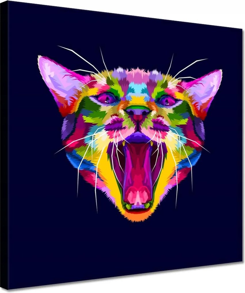 Vászonkép 30x30 Cica Cicák