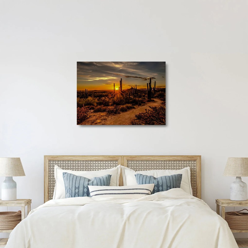 Kép - A nap vége az arizonai sivatagban (üvegen) (70x50 cm)