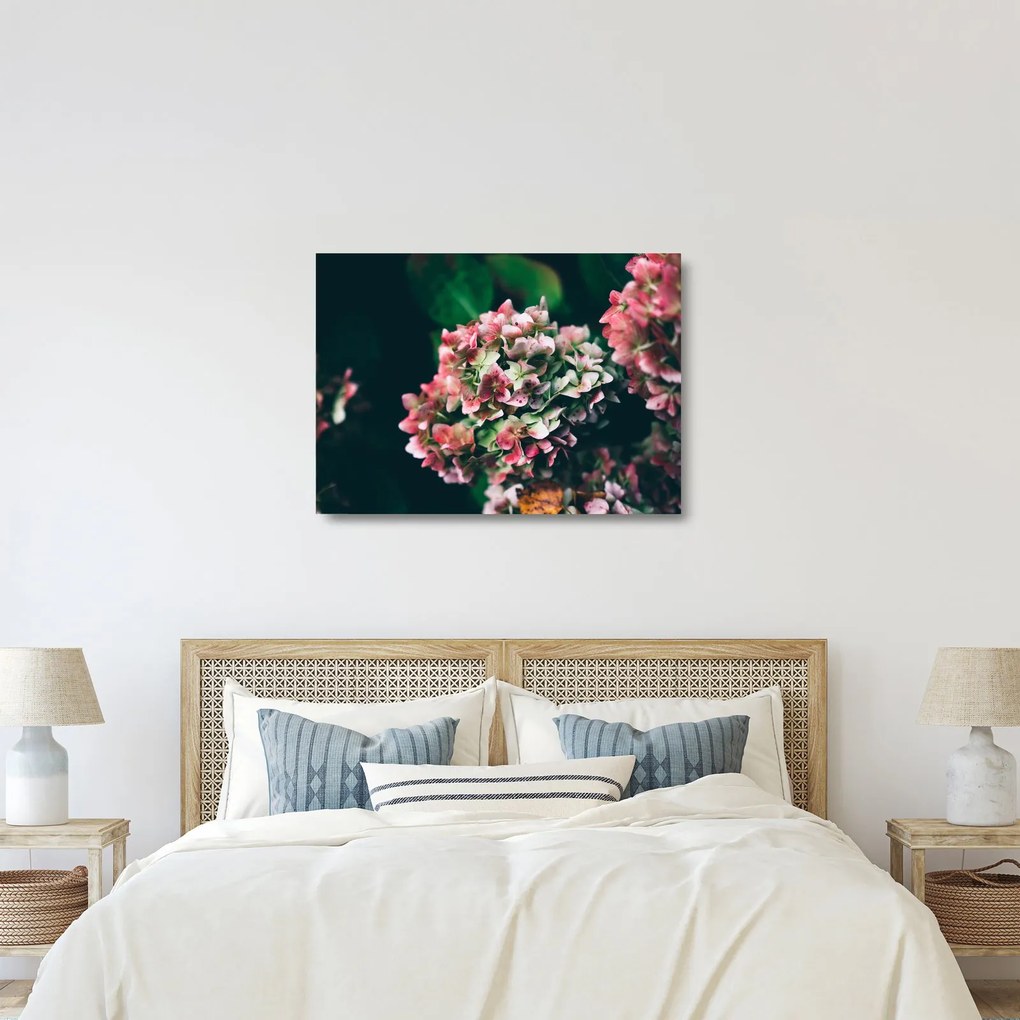Kép - Hortenzia részlete (üvegen) (70x50 cm)
