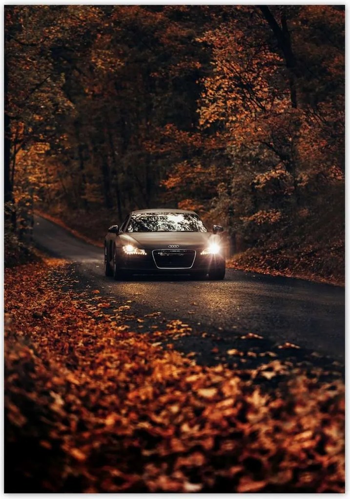 Poszterek 70x100 Audi Őszi tájkép