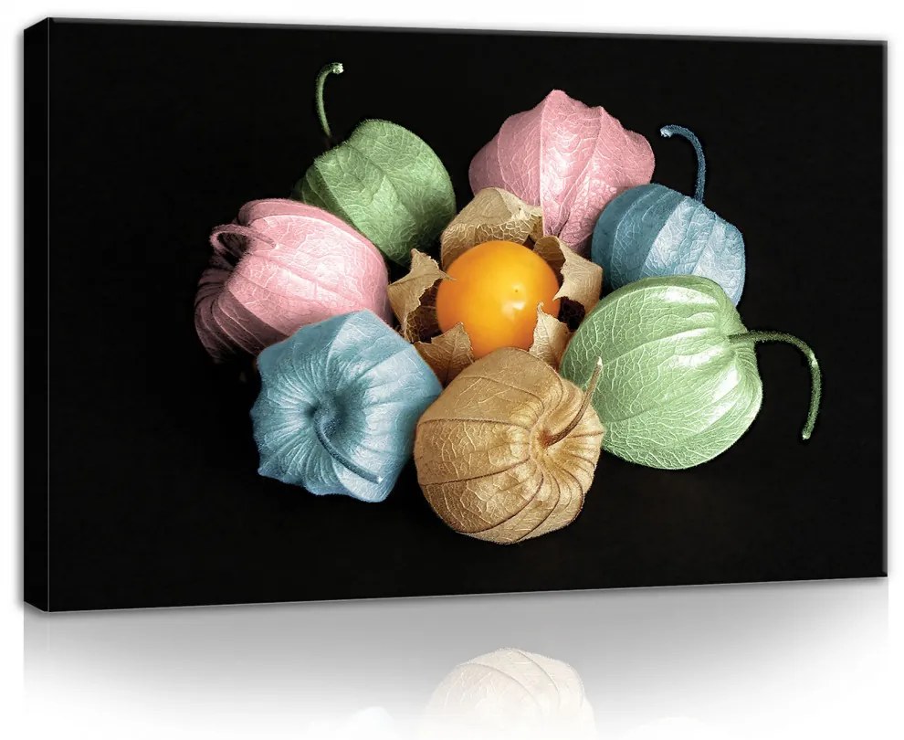 Lampionvirág színesben, vászonkép, 60x40 cm méretben