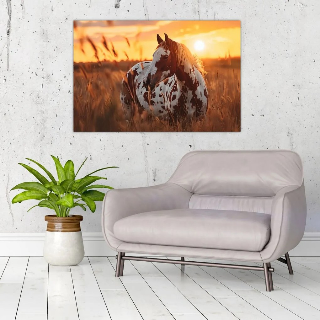 Kép - Ló naplementében (90x60 cm)