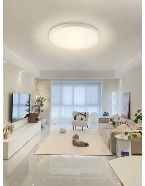 Immax NEO 07169-W60 - LED RGB Dimmelhető lámpa TUDO 65W/230V Wi-Fi Tuya + távirányító