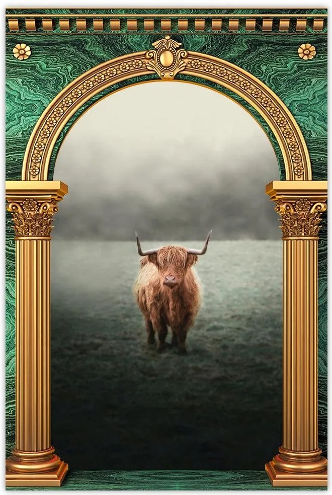 Poszter 60x90 Skót szőrös tehén