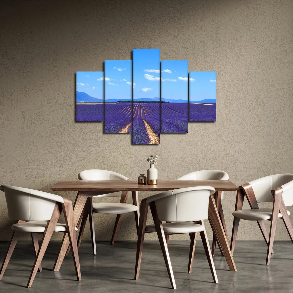 Kép - Levendula mező (150x105 cm)