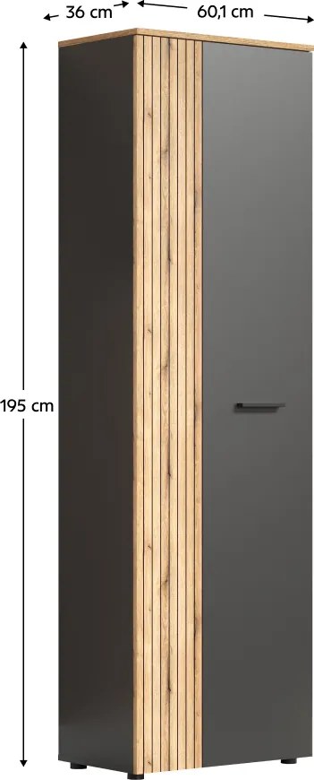 Szekrény, kétajtós, grafit/evoke tölgy, ESENA 2D/40