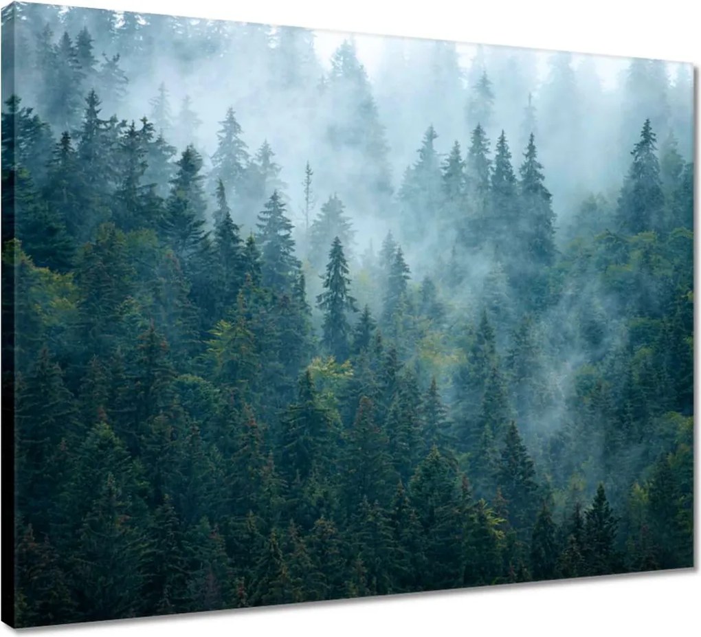 Vászonkép 50x40 Erdő a ködben Utazás