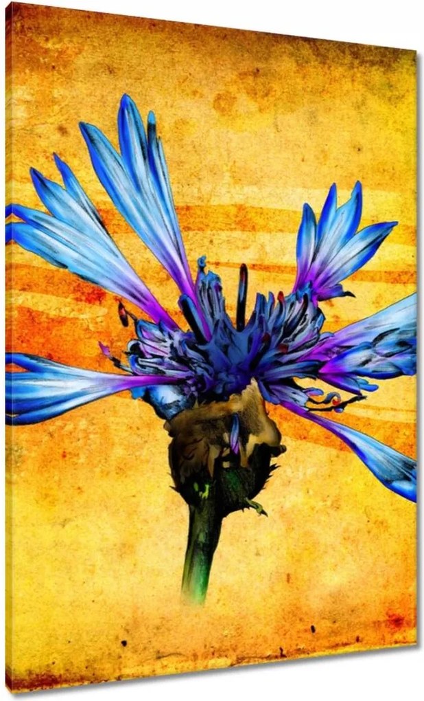 Festmények 70x100 Chaber