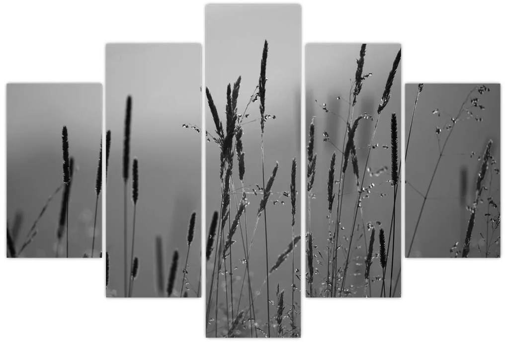 Kép - Fűszálak (150x105 cm)