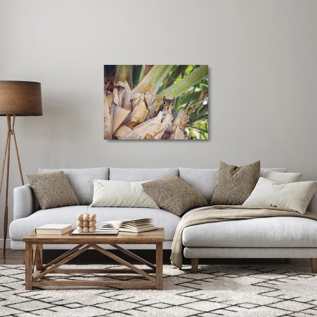 Mókus képe a fán (üvegen) (70x50 cm)