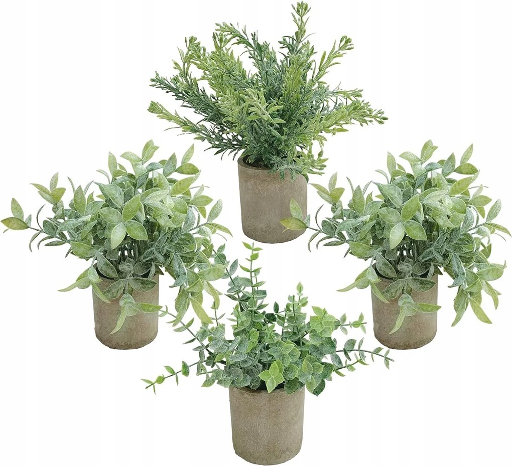 Művirágok Eukaliptusz Cserépben 4DB-OS Szett Boho Olajfa