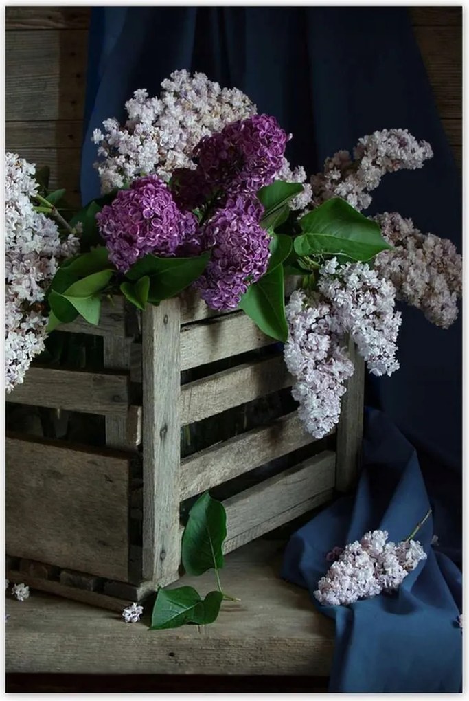 Poszterek 60x90 Doboz nélkül