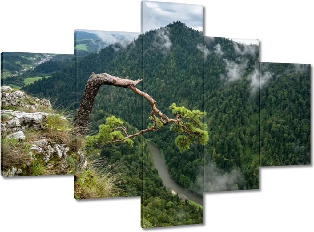 Festmények 100x70 Tájkép Sólyomkő