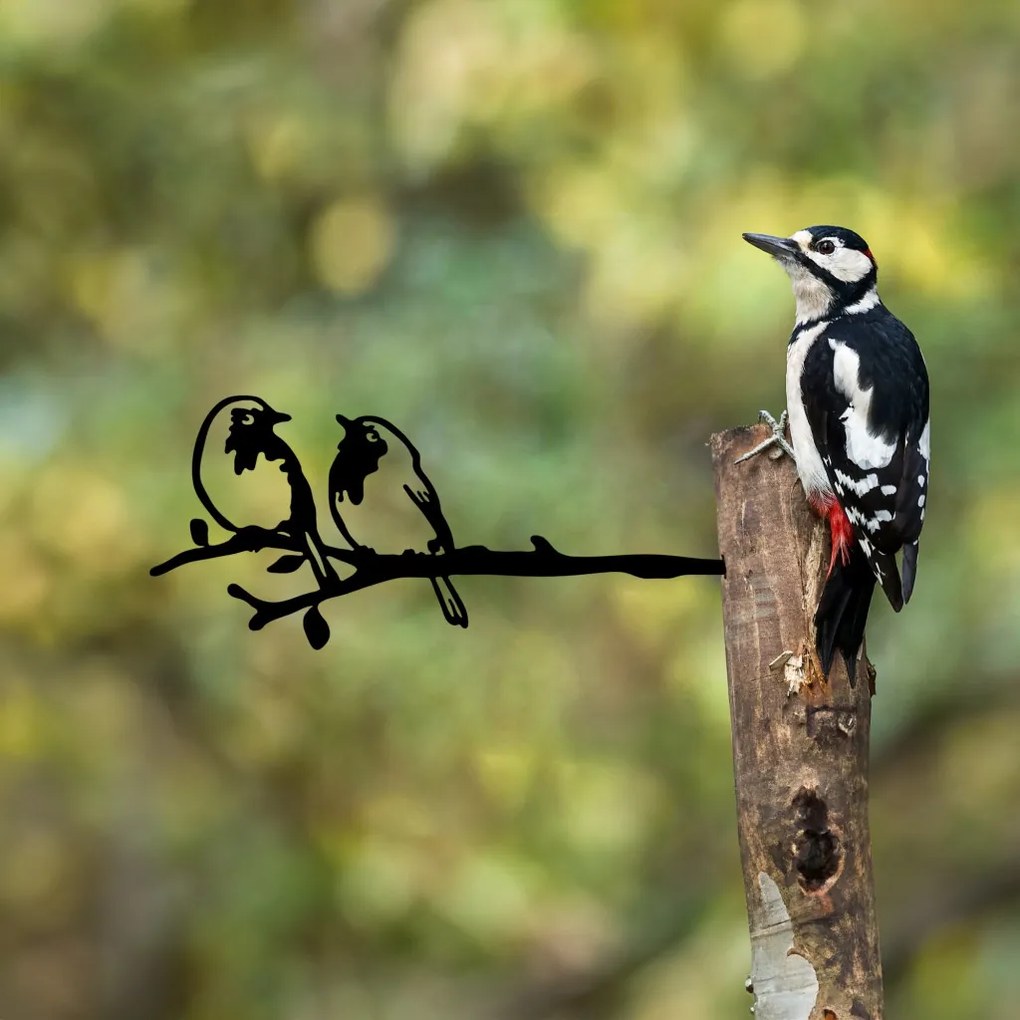 Bird fém kerti dísztárgy, fekete, 50×20 cm – TR565TNL1304