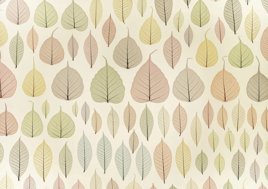 Poszter 59,4x42cm Csontváz levelek, Assaf Frank