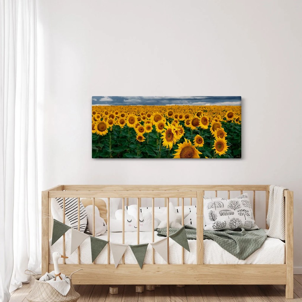 Napraforgó mező képe (120x50 cm)