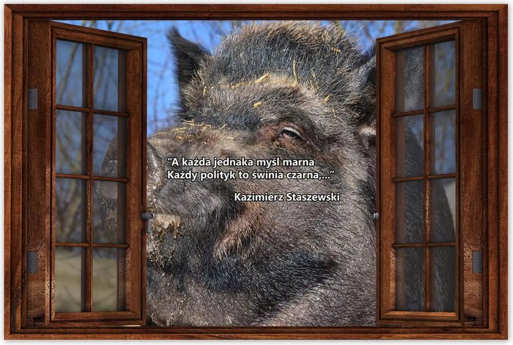 Poszterek 60x40 Kazik Idézet Politikusok