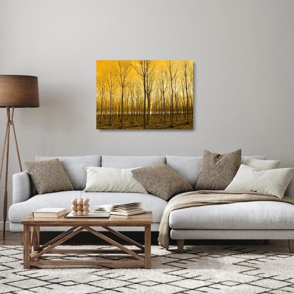 Kép - Faültetvény (üvegen) (70x50 cm)