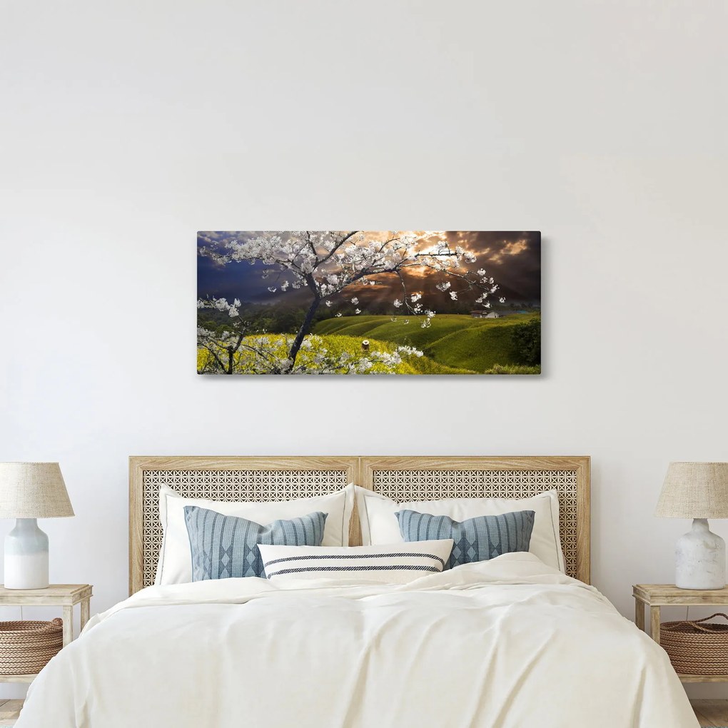 Kép - Virágzó fa az országban (120x50 cm)