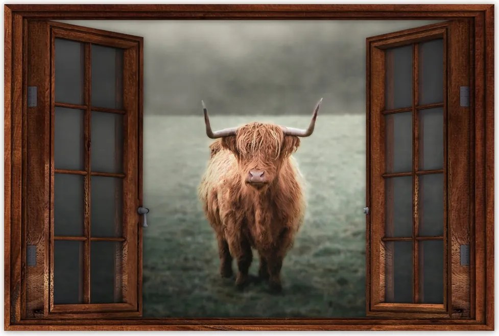 Poszter 60x40 Skót szőrös tehén